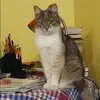 Отзыв от Элла Филиппова